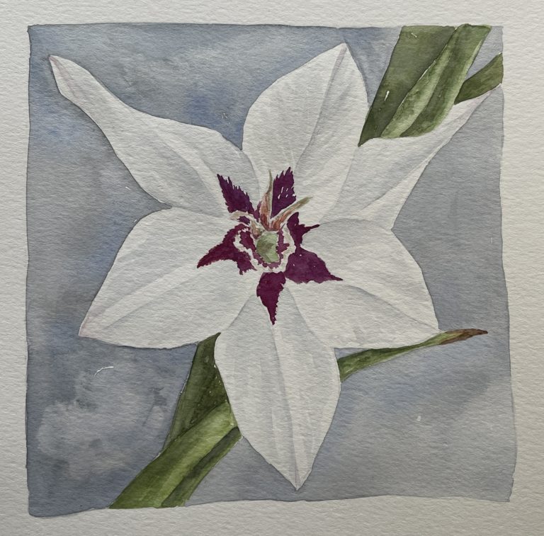 Watercolor Class: Peacock Orchid