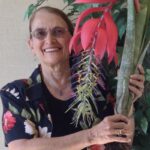 Talk: Growing Bromeliads in Southern California | Sherman Library & Gardens
