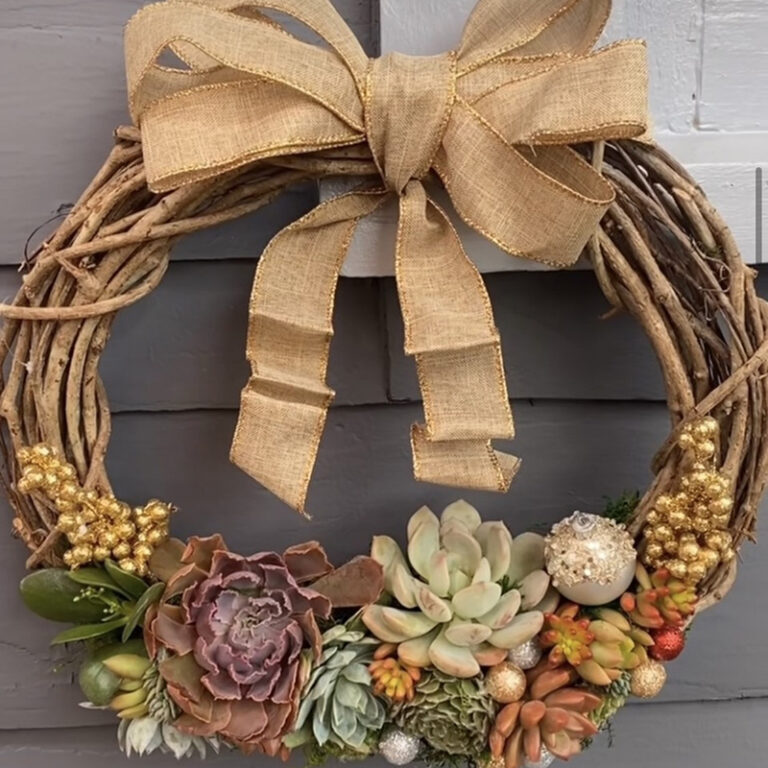 Succulent Wreath Workshop | Sherman Library and Gardens