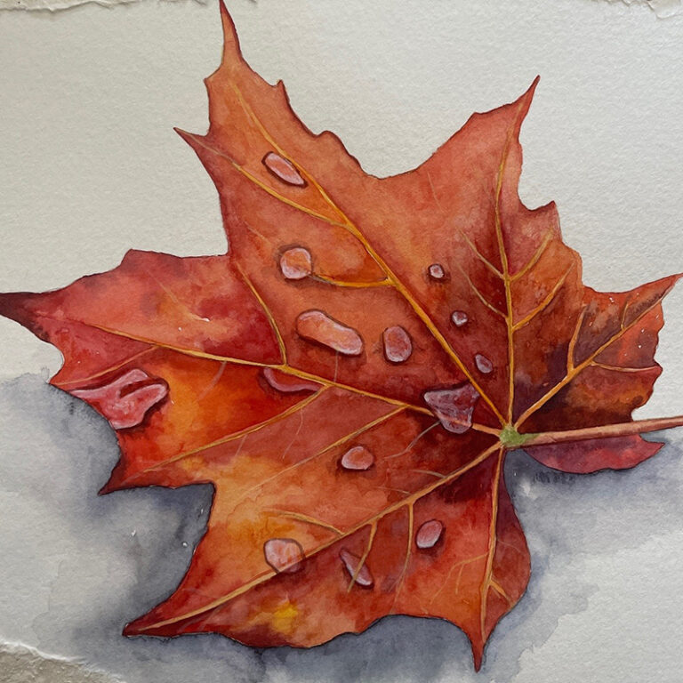 Watercolor Class - Fall Leaf | Sherman Library and Gardens