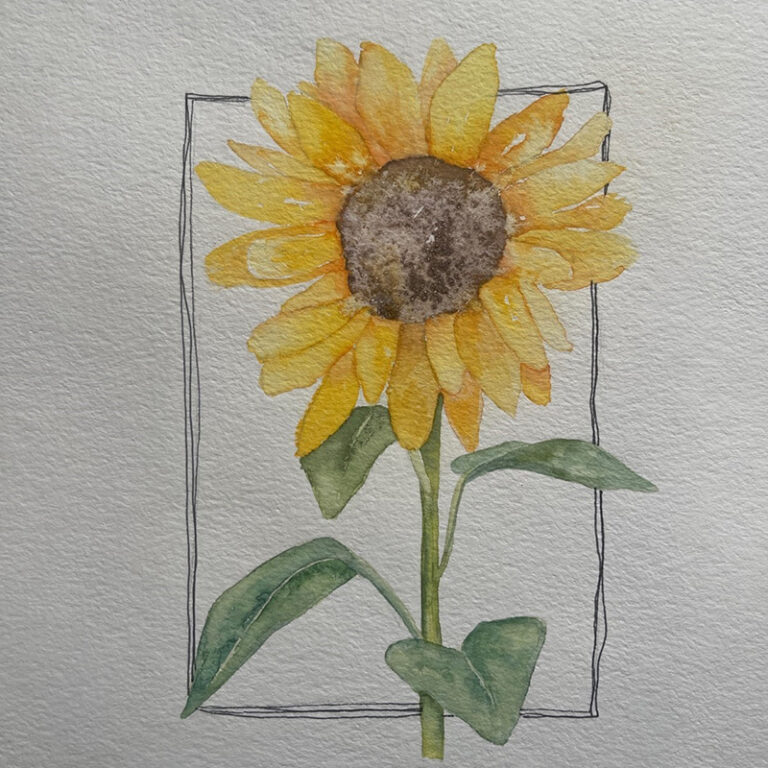 Watercolor Class - Sunflower | Sherman Library and Gardens