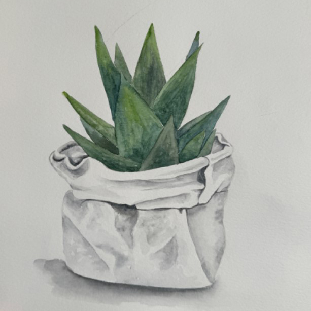 Watercolor Class - Succulent Paper Pot | Sherman Library & Gardens