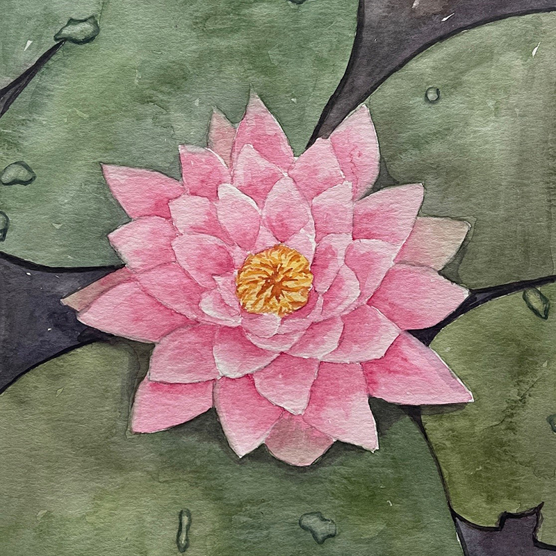 Watercolor Class - Water Lily | Sherman Library & Gardens