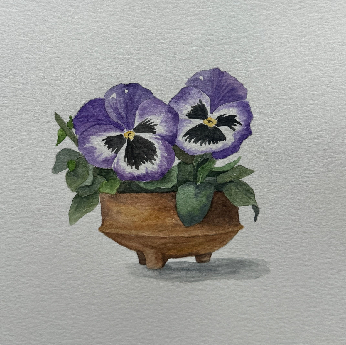 Watercolor Class - Pansies | Sherman Library & Gardens