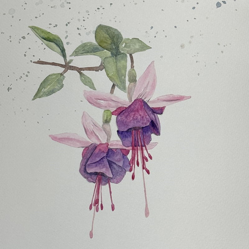 Watercolor Class: Fuchsia