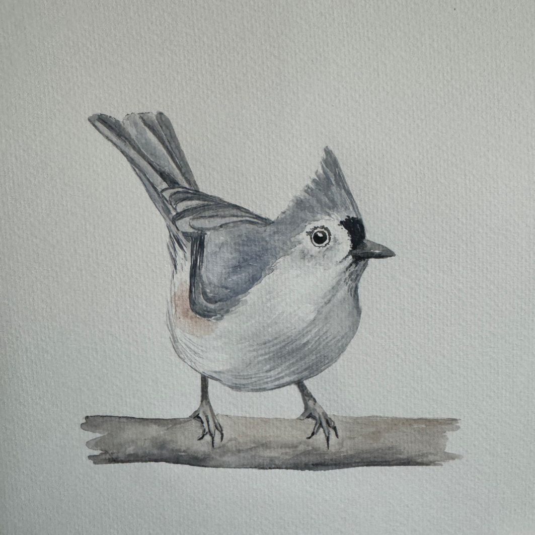 Watercolor Class: Tufted Titmouse