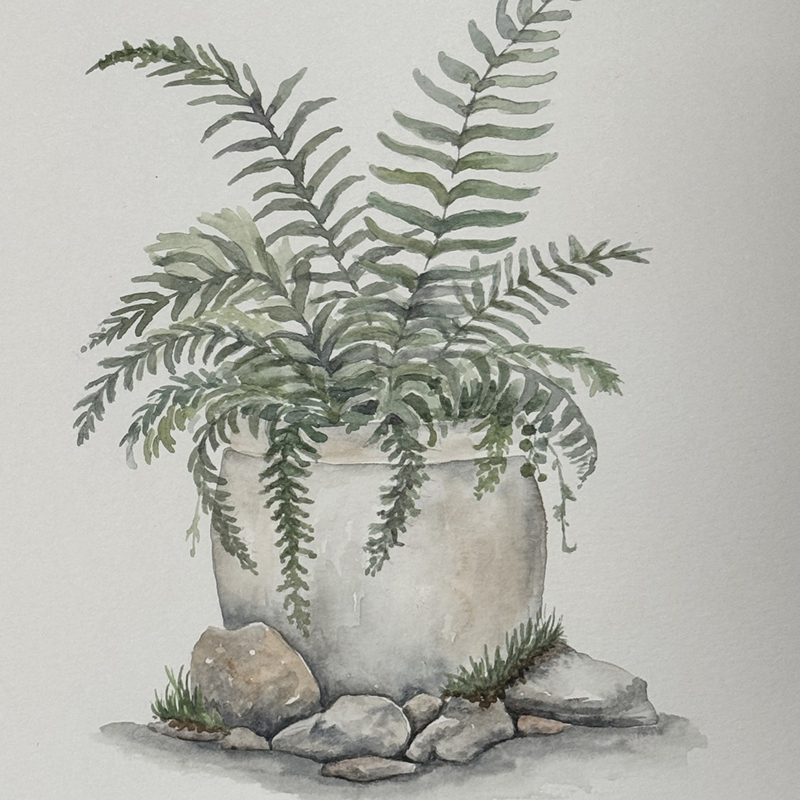 Watercolor Class: Ferns