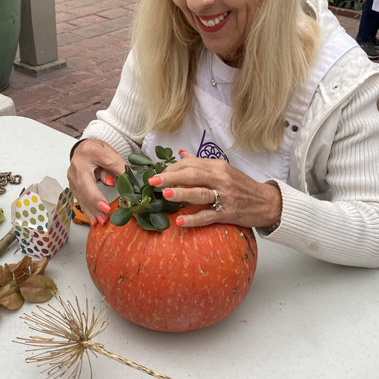 Pumpkin Patch Elegance: A Succulent Pumpkin Workshop