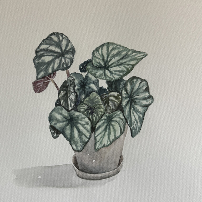 Watercolor Class: Begonia