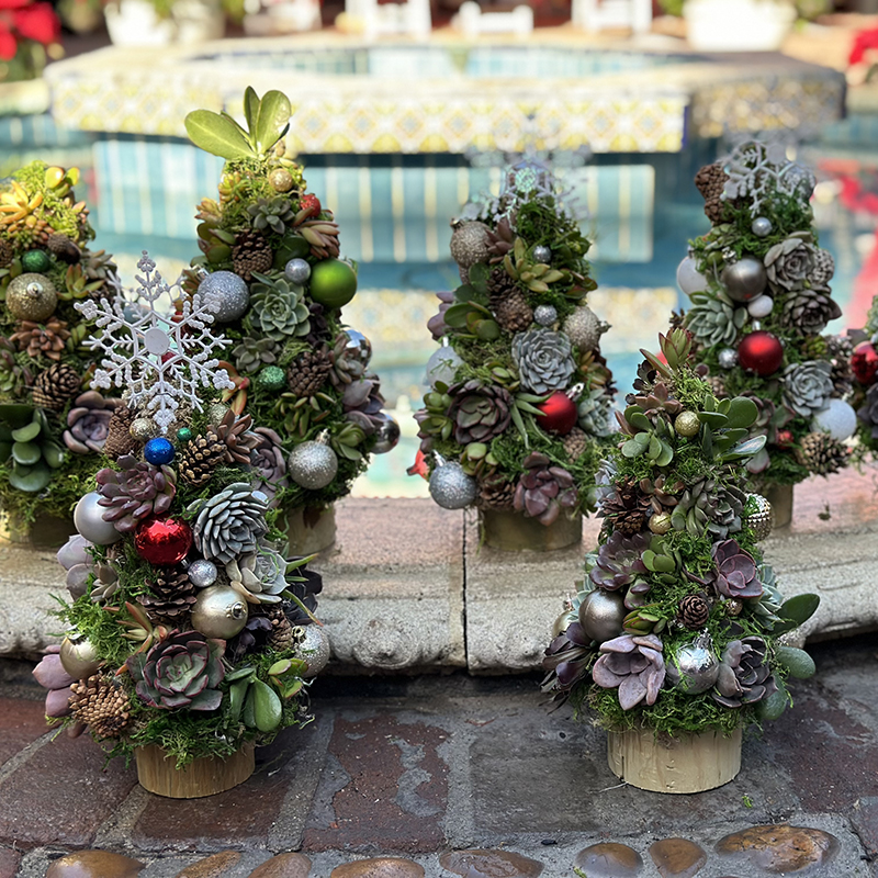 Succulent Christmas Tree Workshop