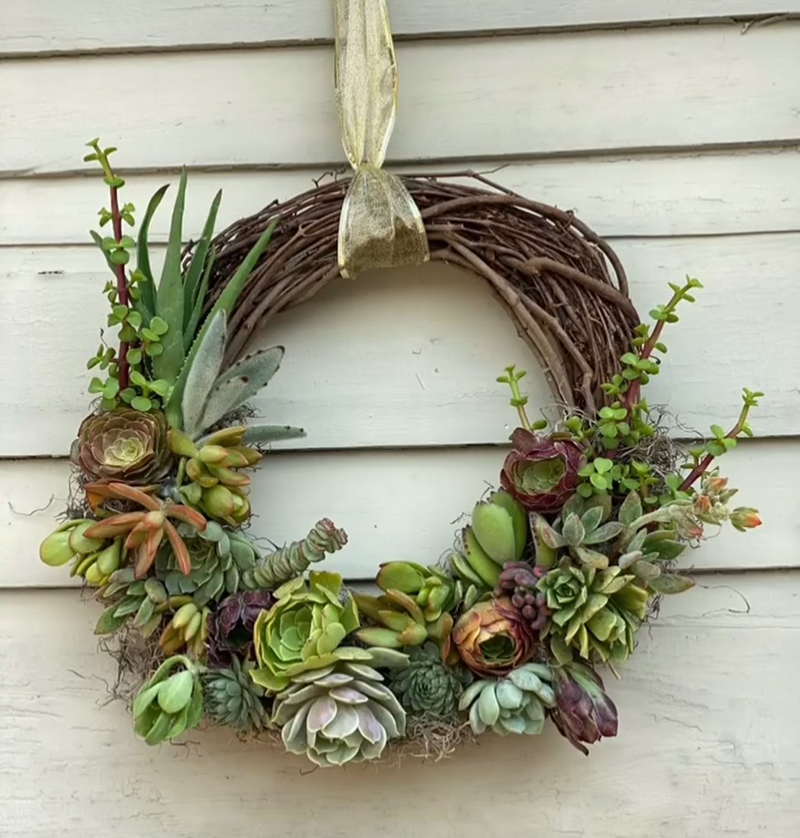 Succulent Wreath Workshop