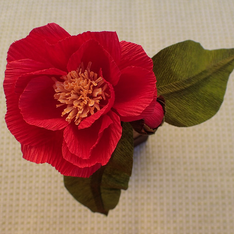 Camellia Paper-Making Demonstration