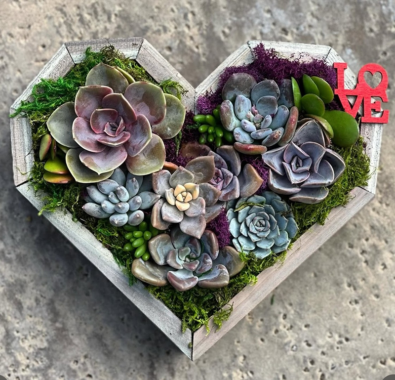 Succulent Wooden Heart Workshop