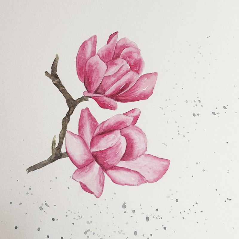 Watercolor Class: Magnolia