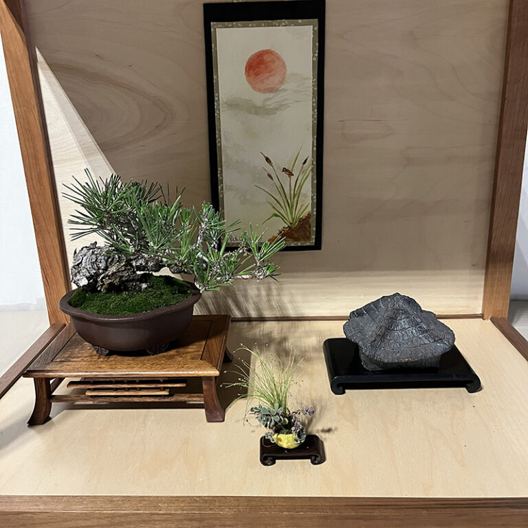 Bonsai Show