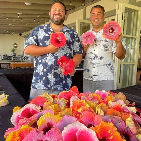 Talks & Demo: Unveiling Hibiscus Hybridizing
