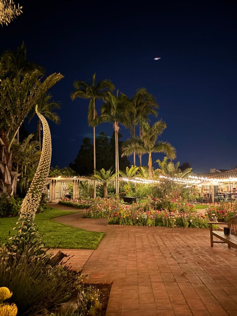 After Hours at the Garden