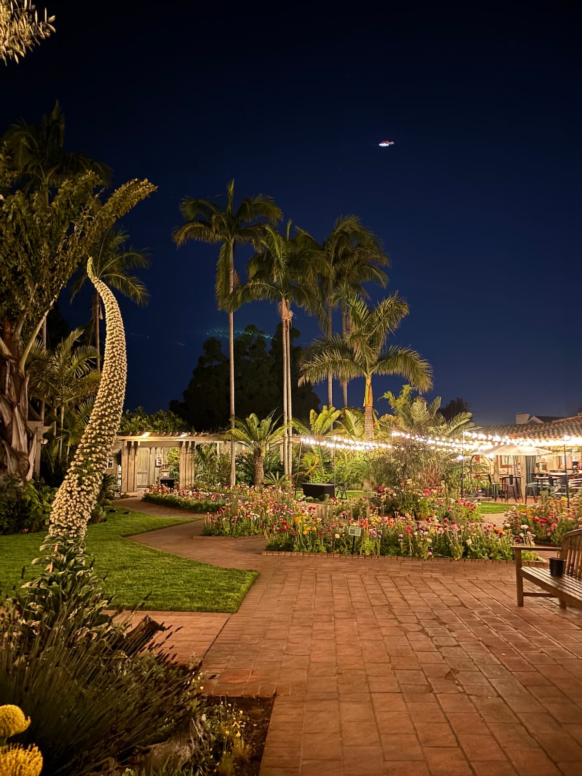 After Hours at the Garden