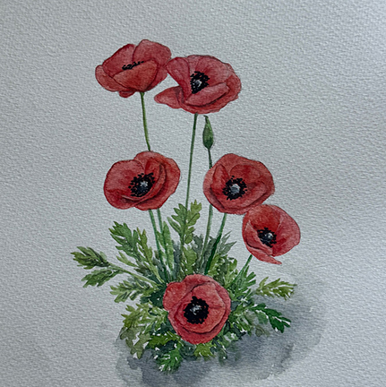 Watercolor Class: Red Poppies