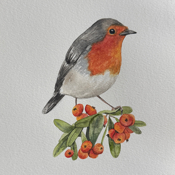 Watercolor Class - Robin Red Breast