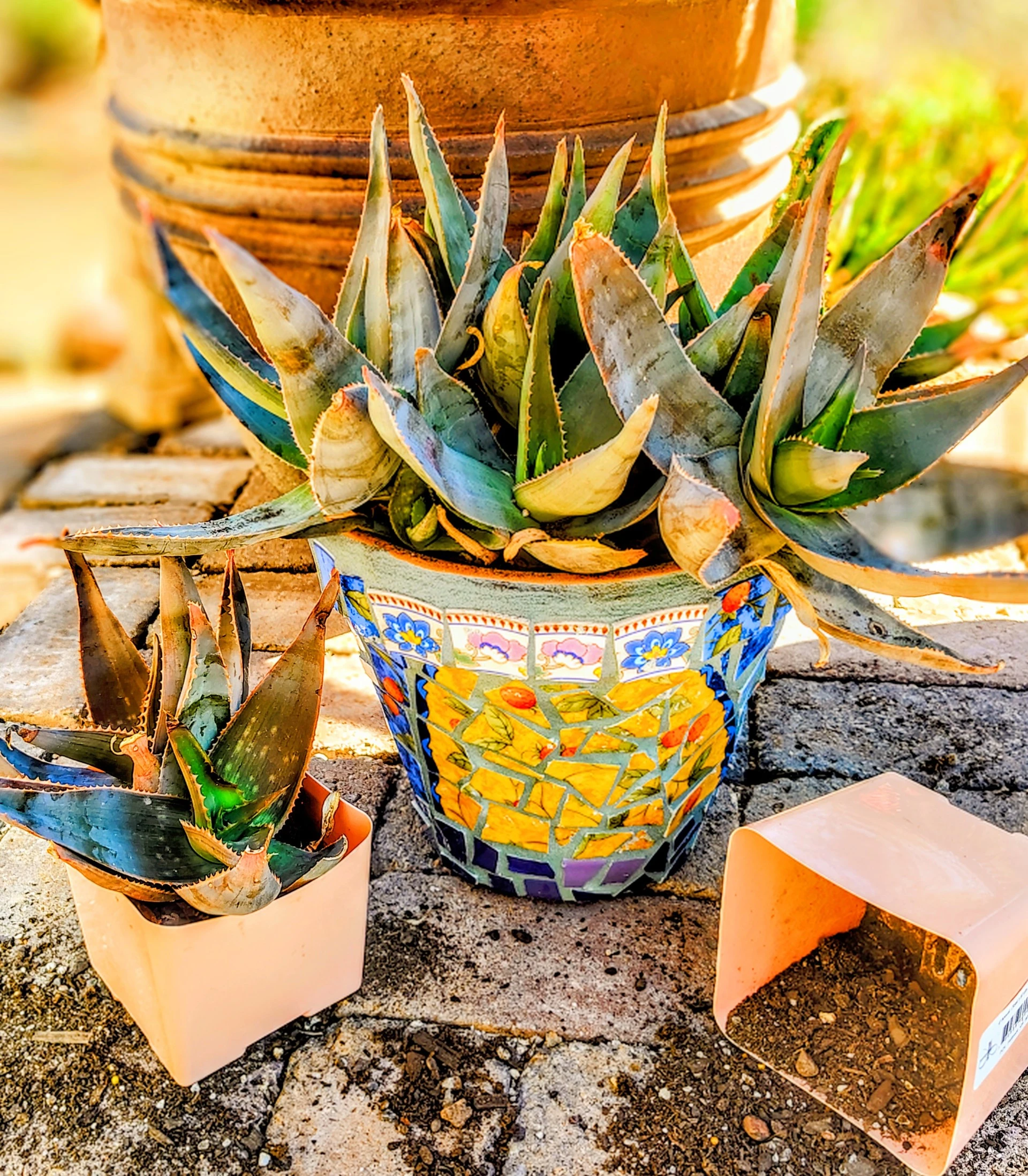 Mosaic Workshop: Spring Garden Planter