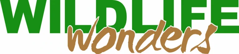 Wildlife Wonders