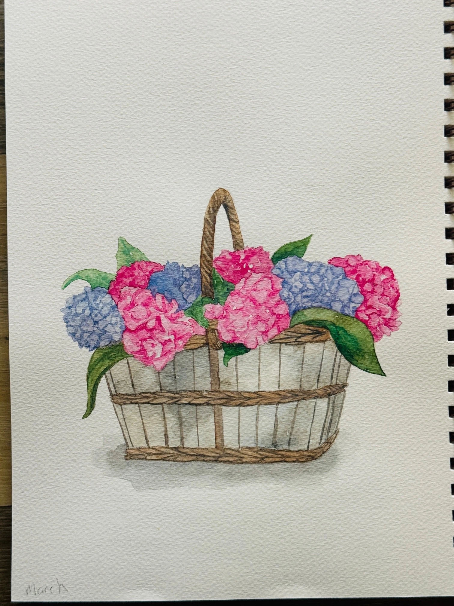 Hydrangeas Watercolor