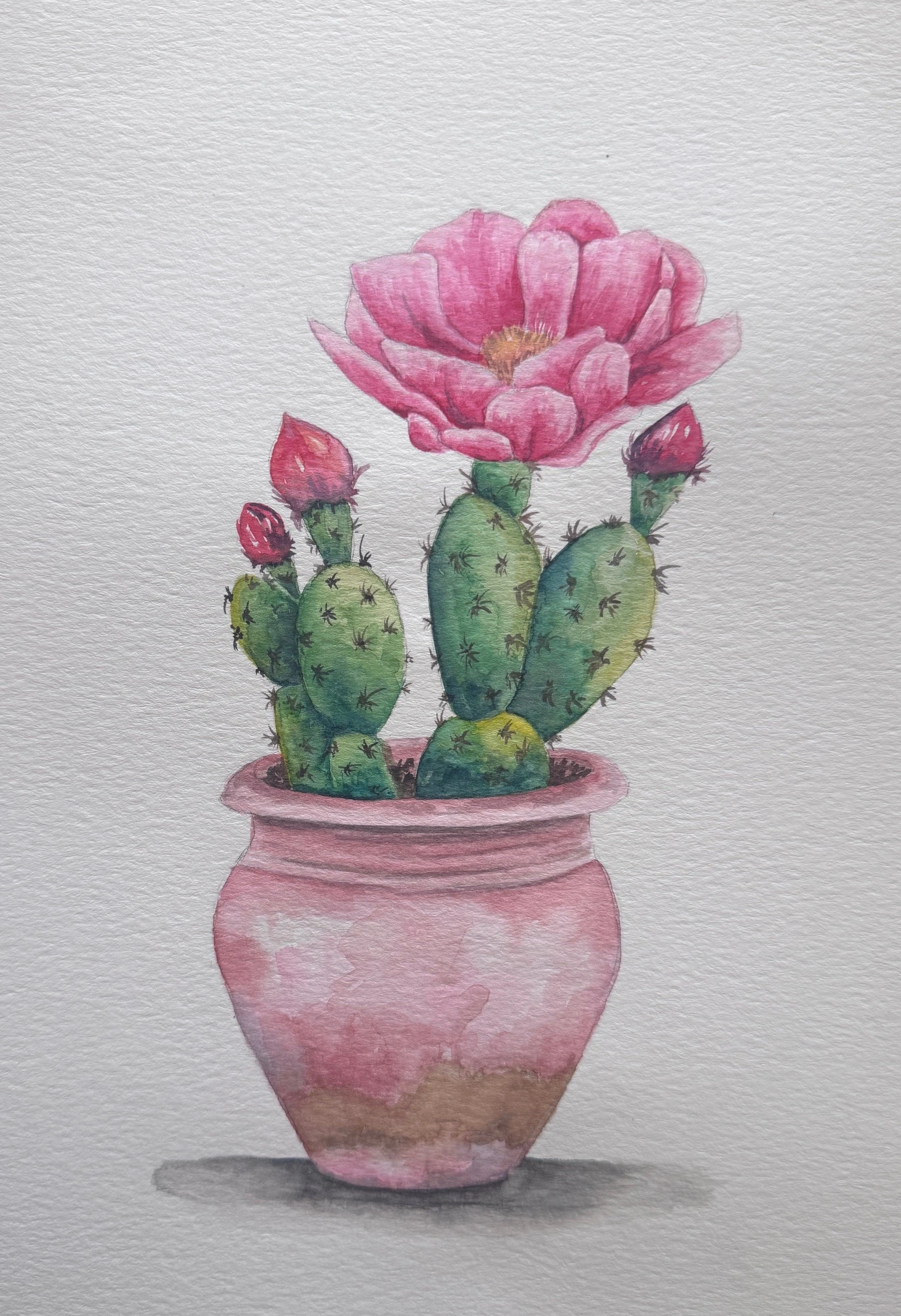 Watercolor Cactus