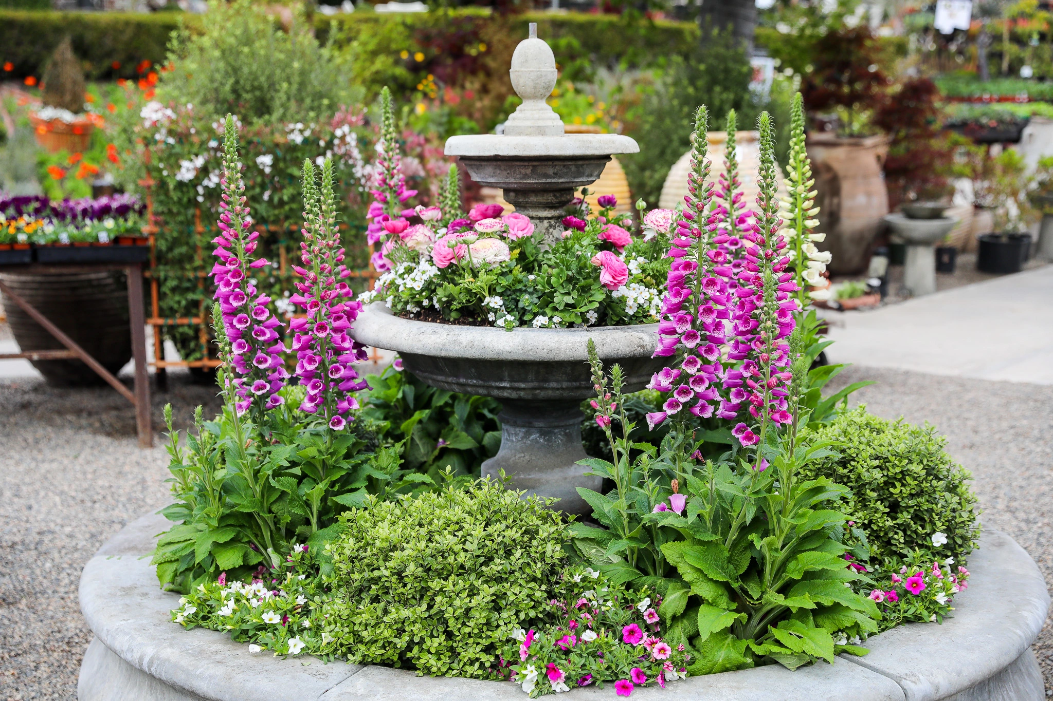 Spend Earth Day Behind the Scenes at Roger’s Gardens with Ron Vanderhoff