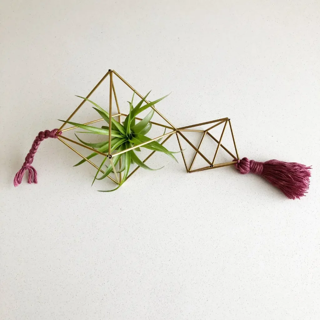 A geometric brass Himmeli air plant holder with a green air plant, pink braided cord, and pink tassel displayed on a white surface.