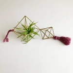 A geometric brass Himmeli air plant holder with a green air plant, pink braided cord, and pink tassel displayed on a white surface.