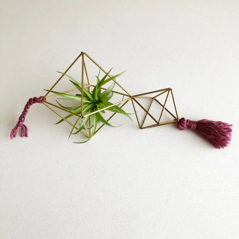 A geometric brass Himmeli air plant holder with a green air plant, pink braided cord, and pink tassel displayed on a white surface.