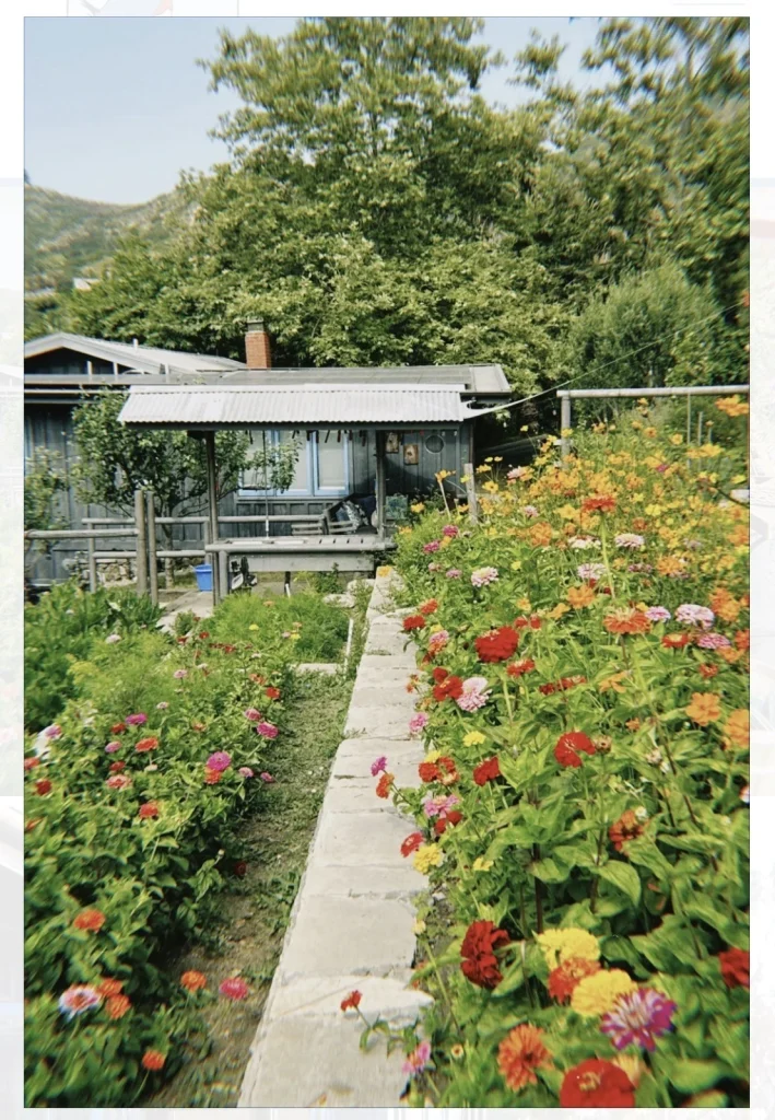 A narrow stone path runs through a garden filled with colorful flowers at Bluebird Canyon Farm, leading to a house with a covered porch and trees in the background—a perfect setting for your next Member Excursion.