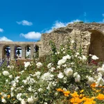 Ruins of an old stone building with arches and a cross at Mission San Juan Capistrano, surrounded by blooming white, orange, and purple flowers under a bright blue sky.
