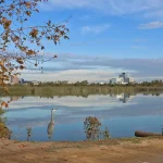 Guided Tour of the San Joaquin Marsh and Wildlife Sanctuary. Led by Gail Richards of Sea and Sage Audubon Society