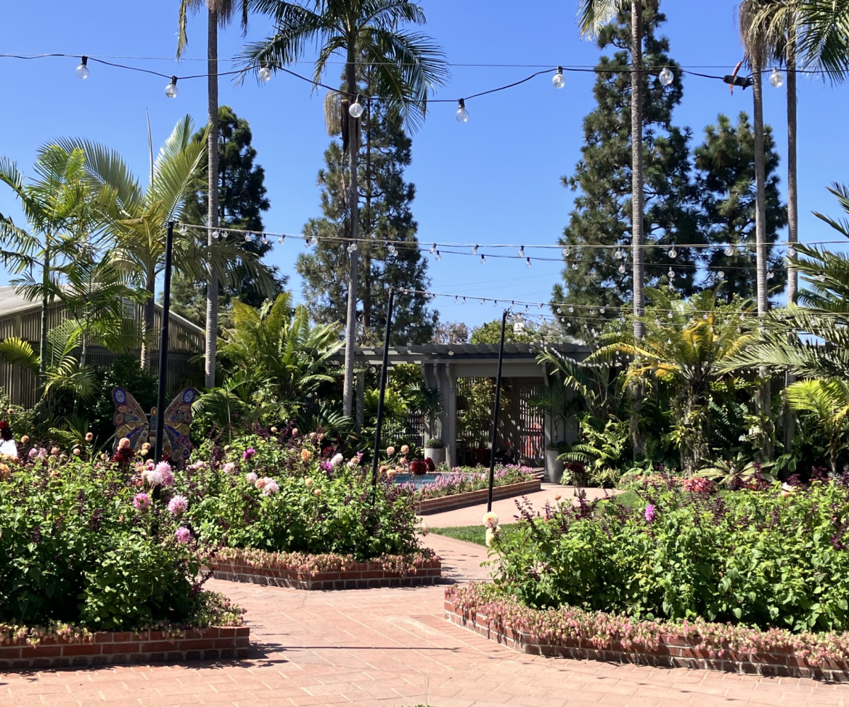 Flower beds with blooming pink and purple flowers, palm trees, string lights, and a building in the background under a clear blue sky invite you to relax and enjoy the beautiful scenery—Plan Your Visit today to experience it all.